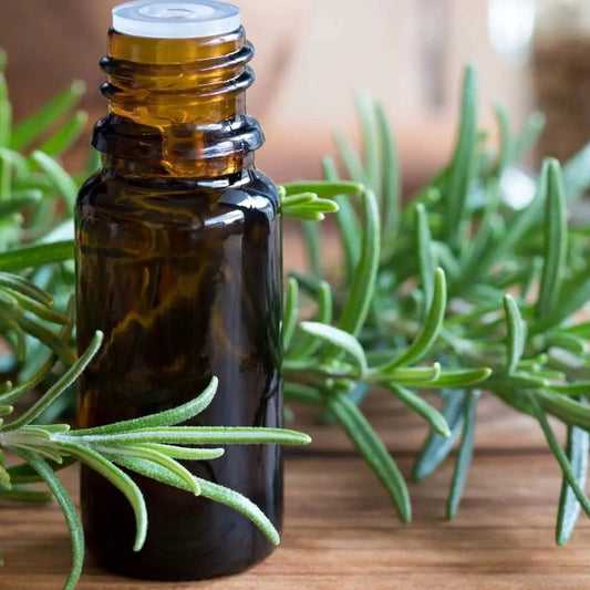 Rosemary Essential Oil