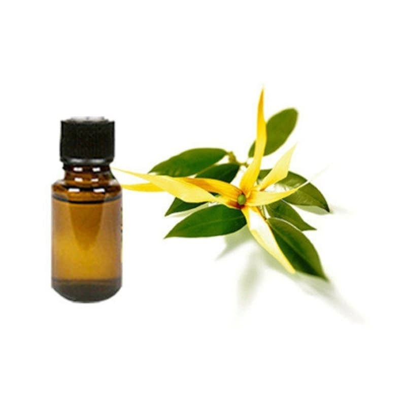 Ylang Ylang Essential Oil