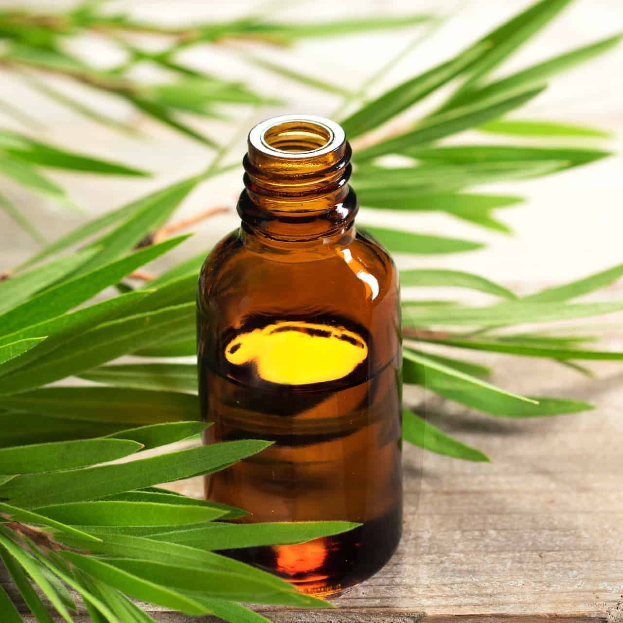 Tea Tree Essential Oil