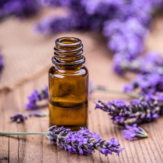 Lavender Essential Oil